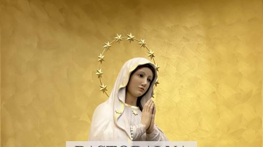 Pastoralna godina